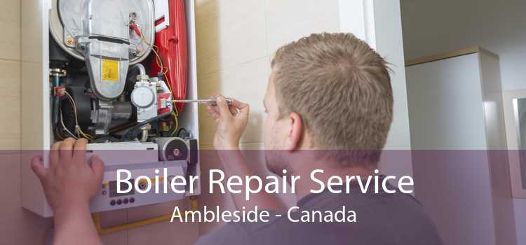 Boiler Repair Service Ambleside - Canada