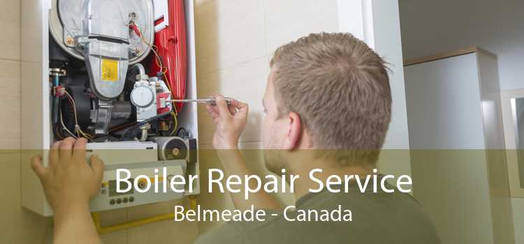 Boiler Repair Service Belmeade - Canada