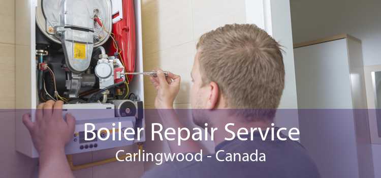 Boiler Repair Service Carlingwood - Canada