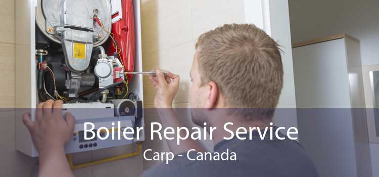 Boiler Repair Service Carp - Canada