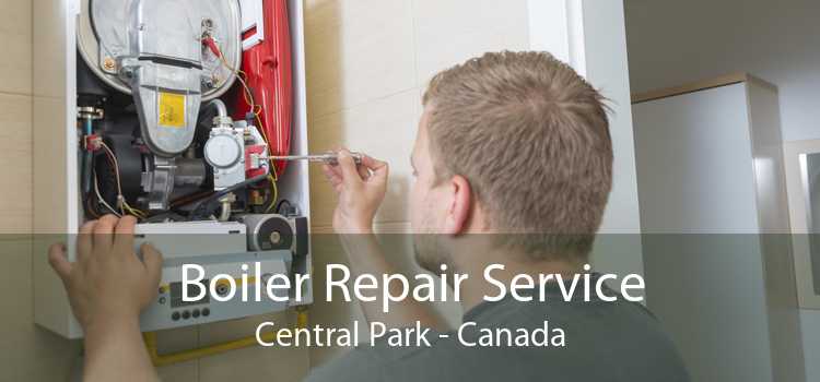Boiler Repair Service Central Park - Canada