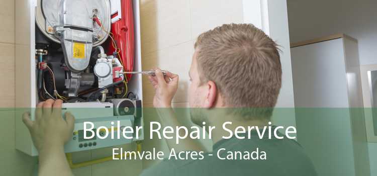 Boiler Repair Service Elmvale Acres - Canada