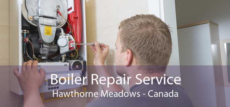 Boiler Repair Service Hawthorne Meadows - Canada