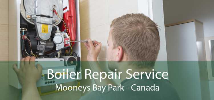 Boiler Repair Service Mooneys Bay Park - Canada