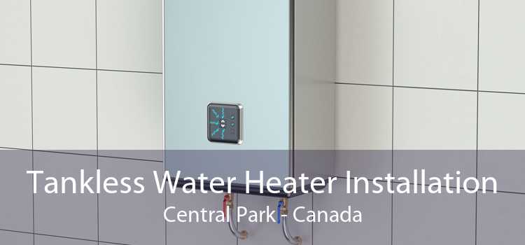 Tankless Water Heater Installation Central Park - Canada