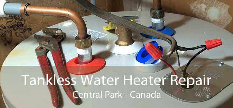 Tankless Water Heater Repair Central Park - Canada